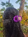 violet claw clips (1).webp