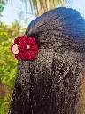 red claw clip(2).webp