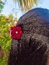red claw clip (3).webp